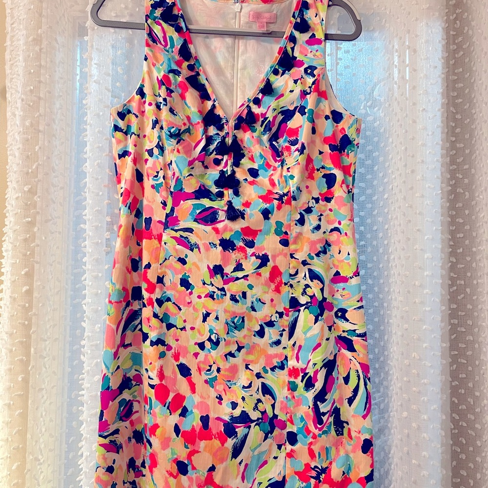 Lilly Dress VERY nice never worn